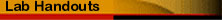 labcopy.jpg (8255 bytes)