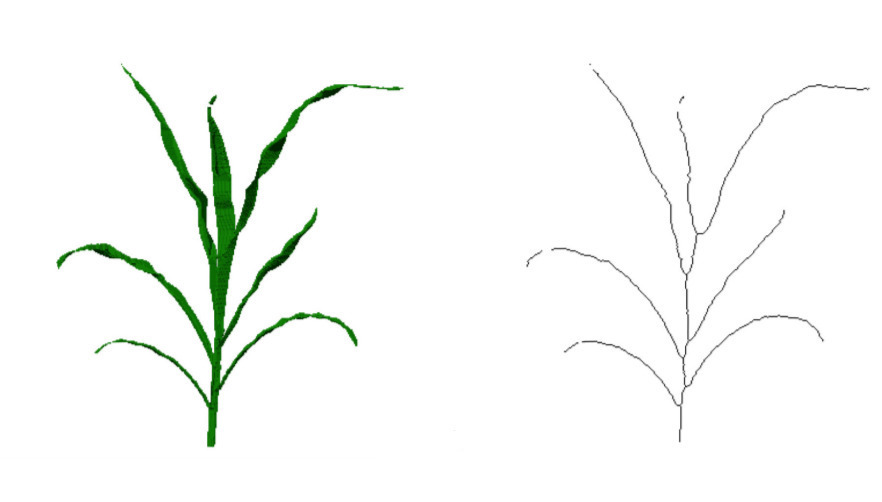 Phenotyping and Reconstruction