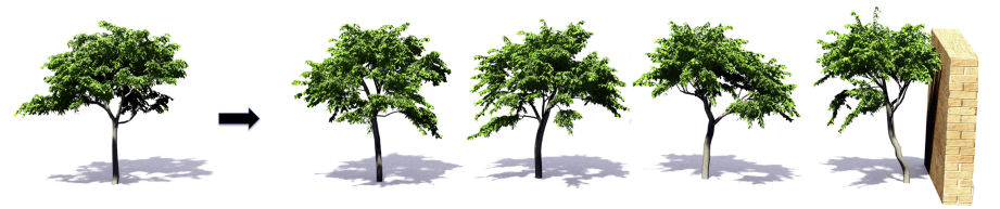 3D Reconstruction