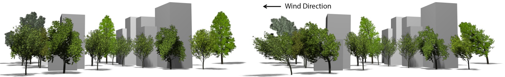 Simulation & Physics