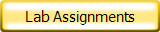 Lab Assignments