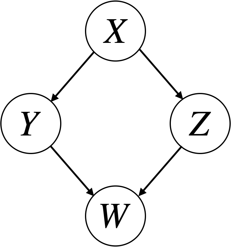 Bayesian Network X points to Y and Z, Y and Z point to W