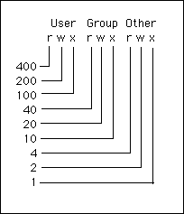 Nacse Unix Changing Your File Permissions