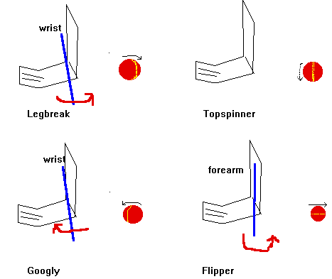 cricket bowling styles spin ball hand different bowler spinning handed fast left spinners seam right bowlers equator there informations purdue