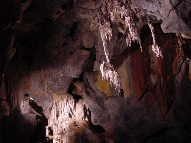 DSC00032.JPG