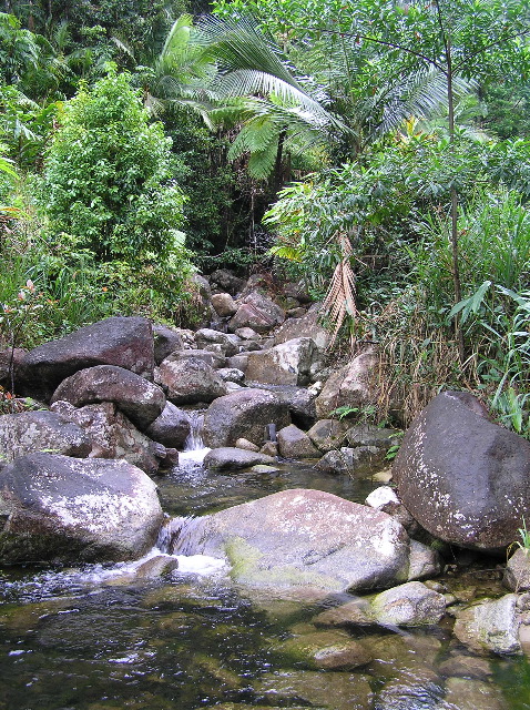 P7040014.JPG