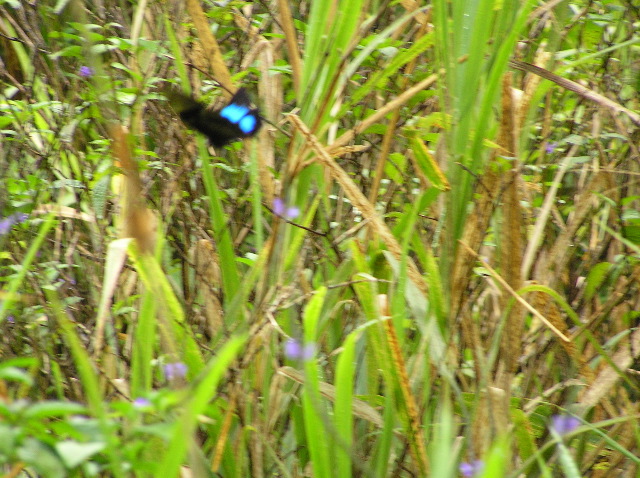 P7040018.JPG