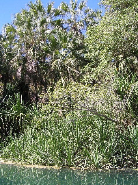 P7080146.JPG