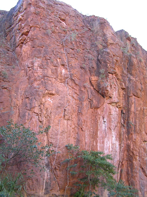 P7090164.JPG