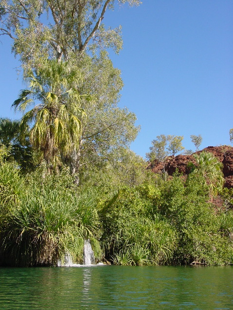 DSC00084.JPG