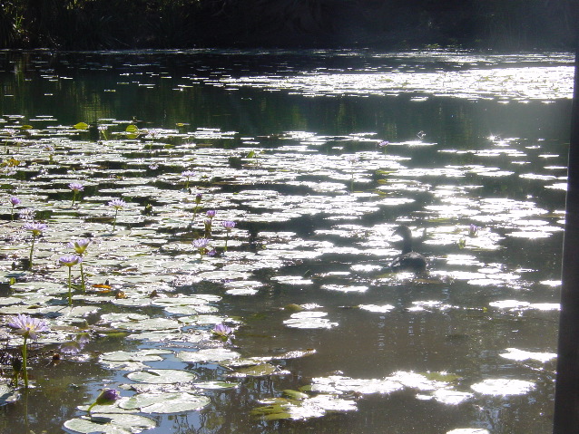DSC00001.JPG