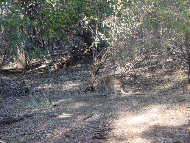 DSC00002.JPG