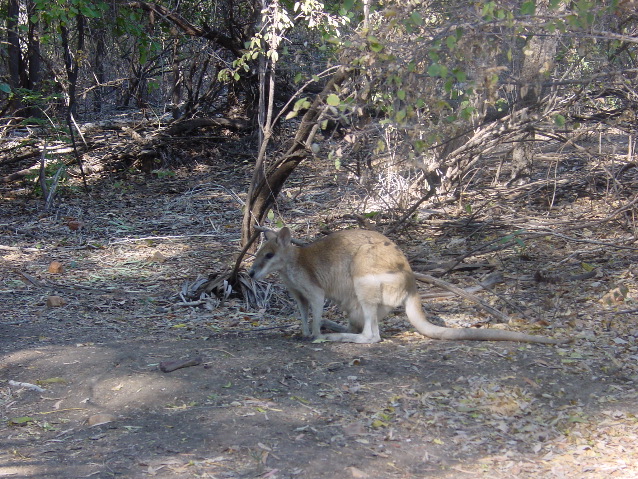 DSC00003.JPG