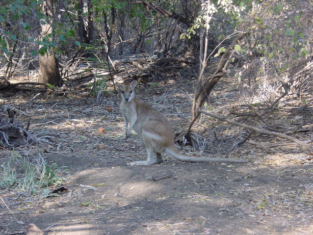 DSC00004.JPG