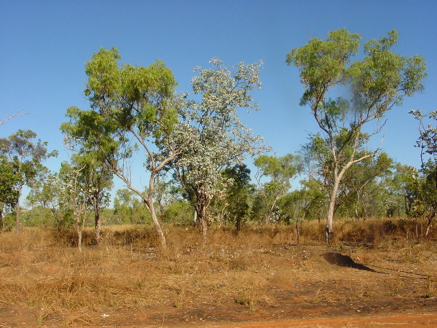 DSC00006.JPG