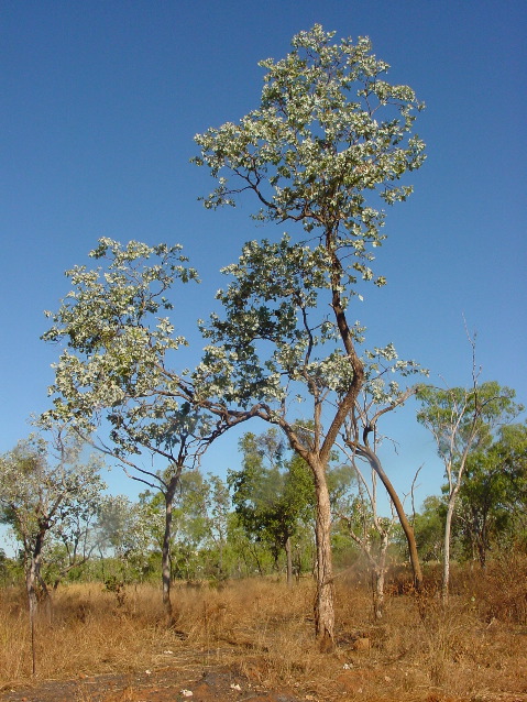 DSC00008.JPG