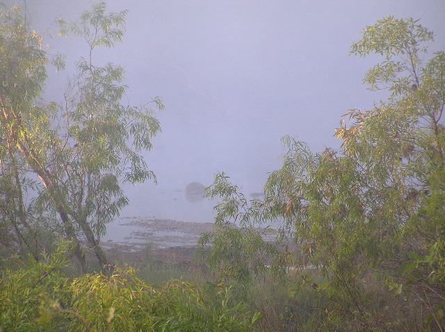 P7100201.JPG