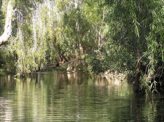 P7110225.JPG