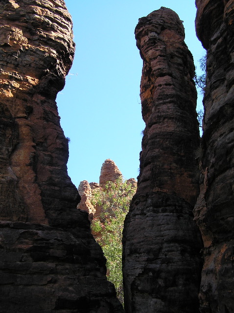 P7110231.JPG