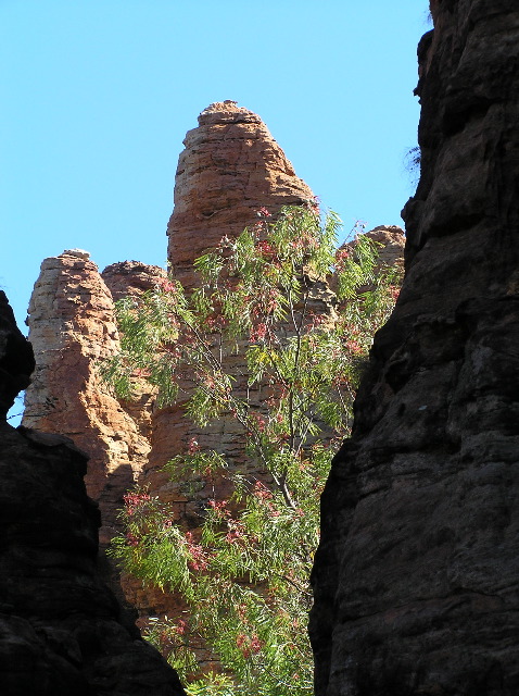 P7110232.JPG