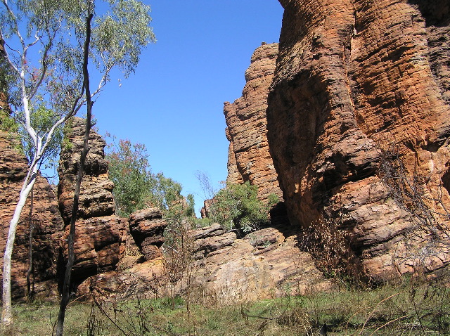 P7110233.JPG