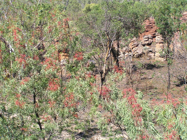 P7110244.JPG
