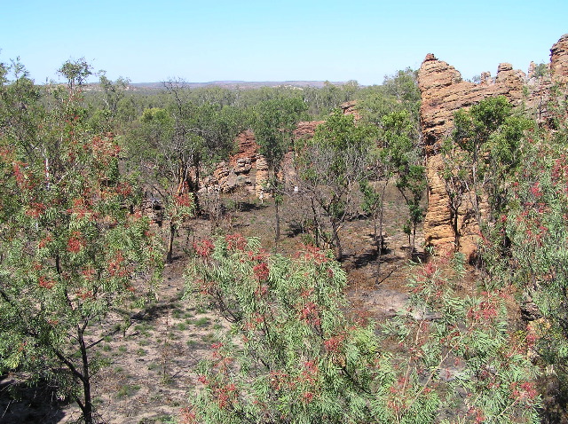 P7110246.JPG