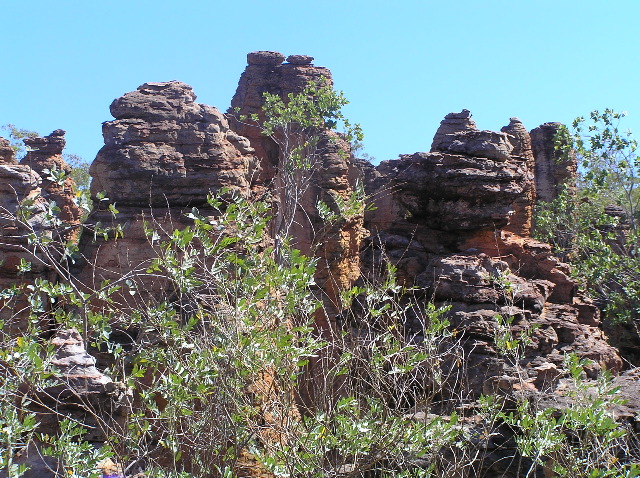P7110248.JPG