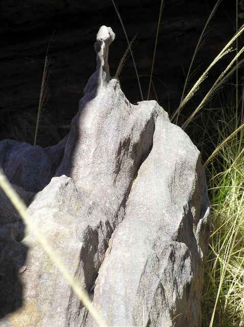 P7110256.JPG