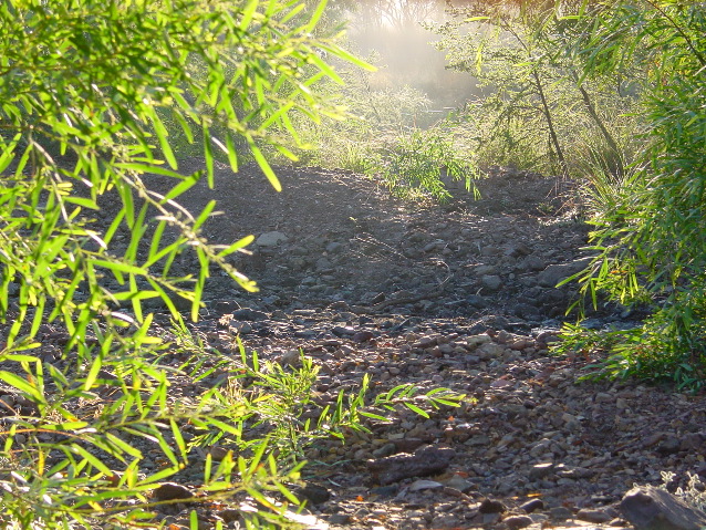 DSC00048.JPG