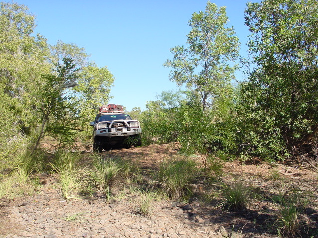 DSC00062.JPG