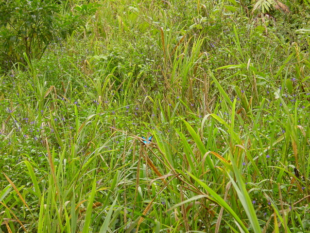DSC00005.JPG