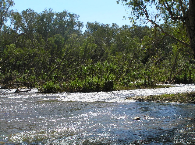 P7120284.JPG