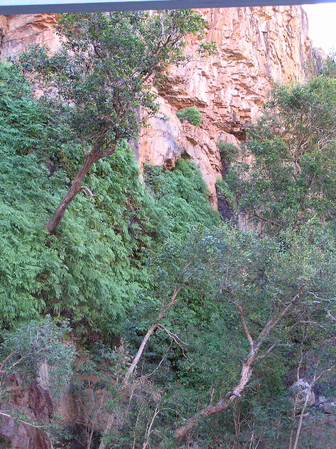 P7130018.JPG