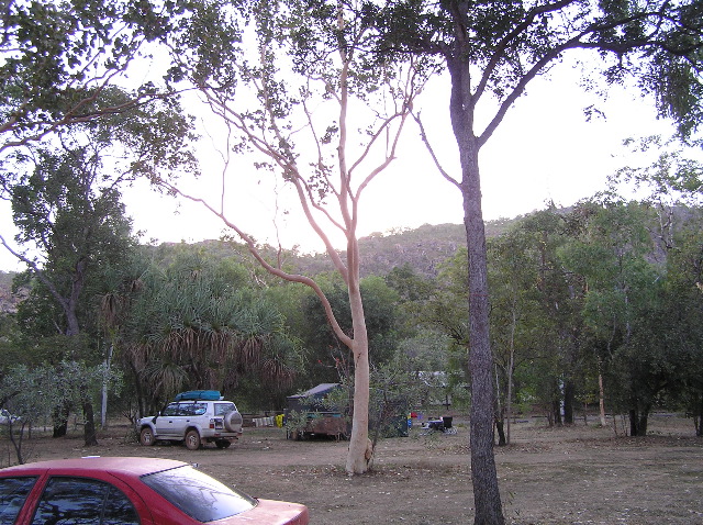 P7140042.JPG