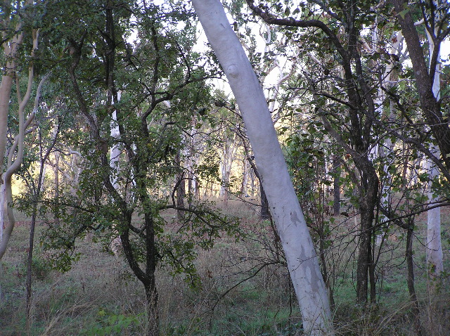 P7140045.JPG