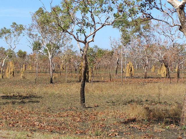 P7150085.JPG