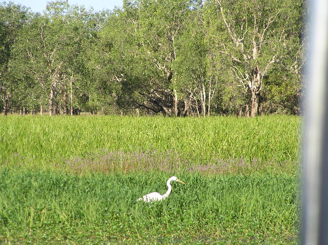 P7150088.JPG