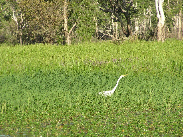P7150089.JPG