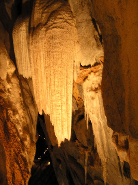 P7050049.JPG