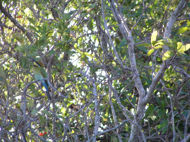 P7150112.JPG
