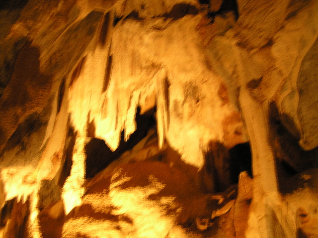 P7050050.JPG
