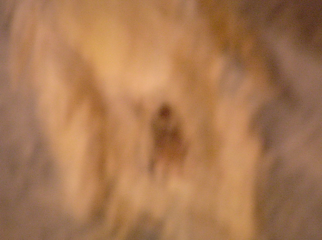P7050051.JPG
