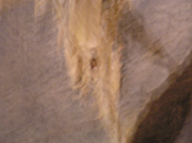 P7050052.JPG