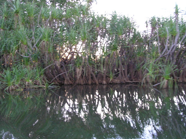 P7150173.JPG
