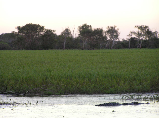 P7150184.JPG
