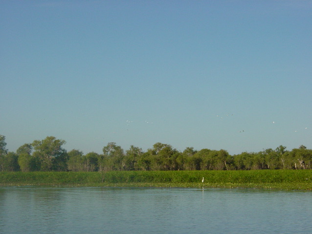 DSC00054.JPG