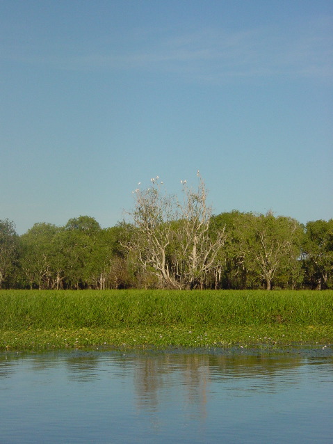 DSC00055.JPG