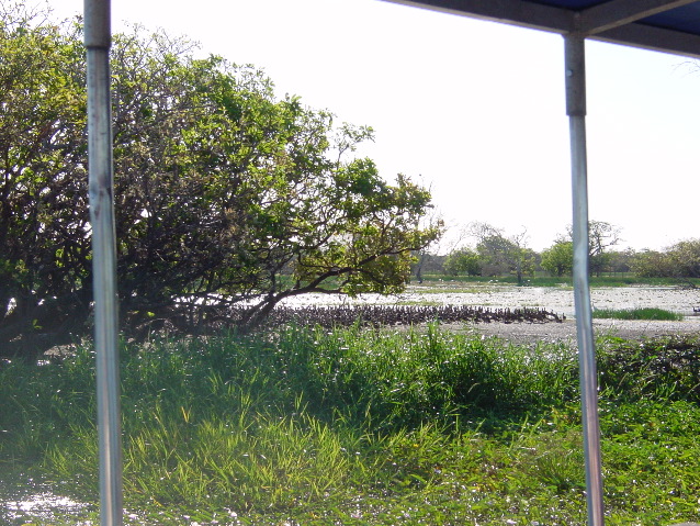 DSC00058.JPG
