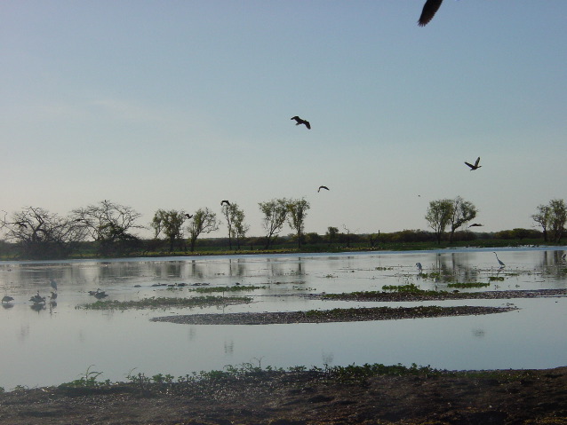 DSC00064.JPG